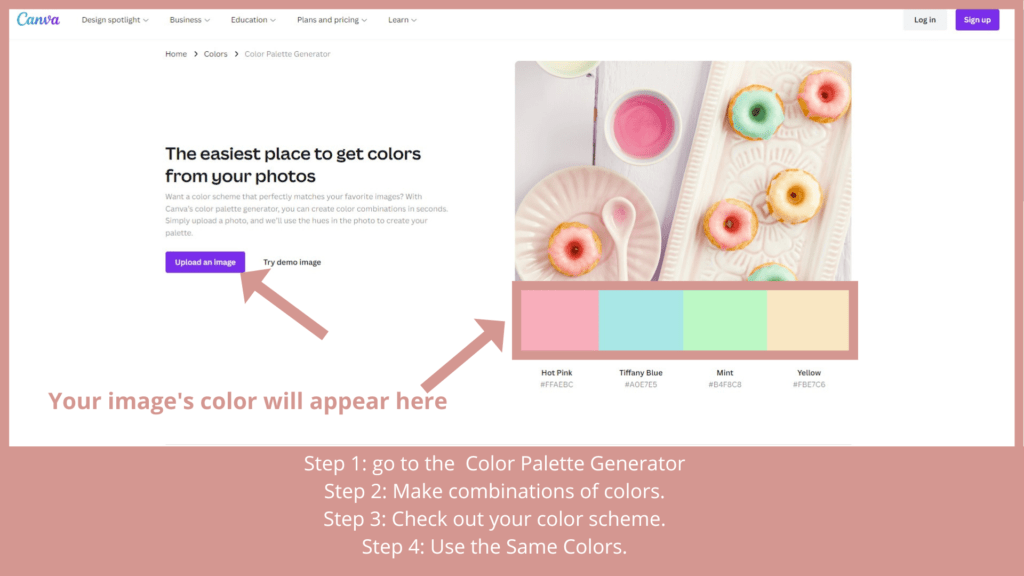 Create attractive color combinations using Canva's Color Palette Generator.    