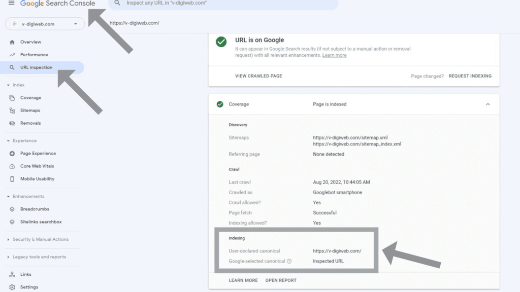 check your canonical tag through google search console for seo checklist