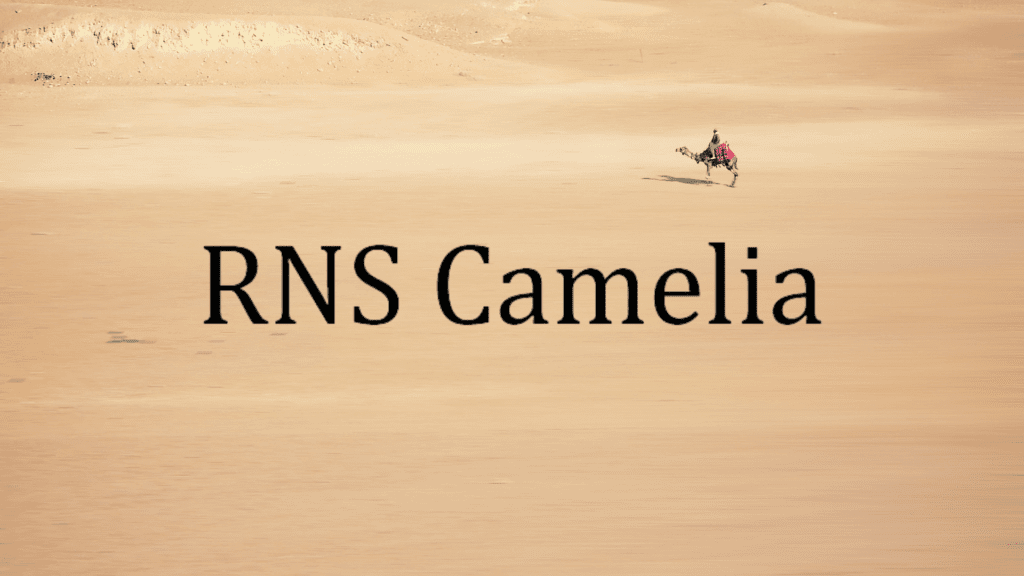 rns camelia in typography