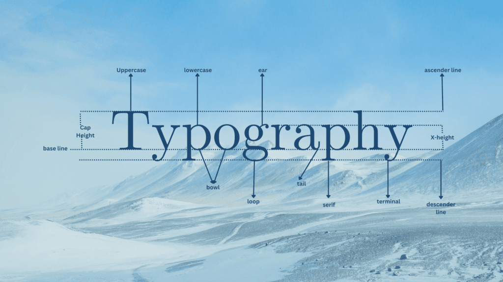 what is typography