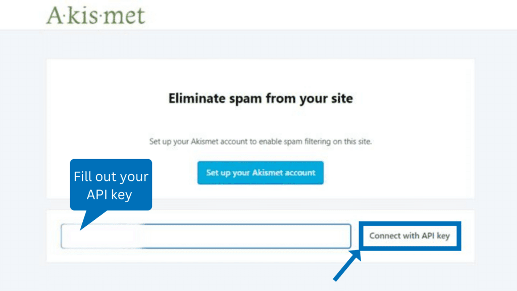 akismet api key setup